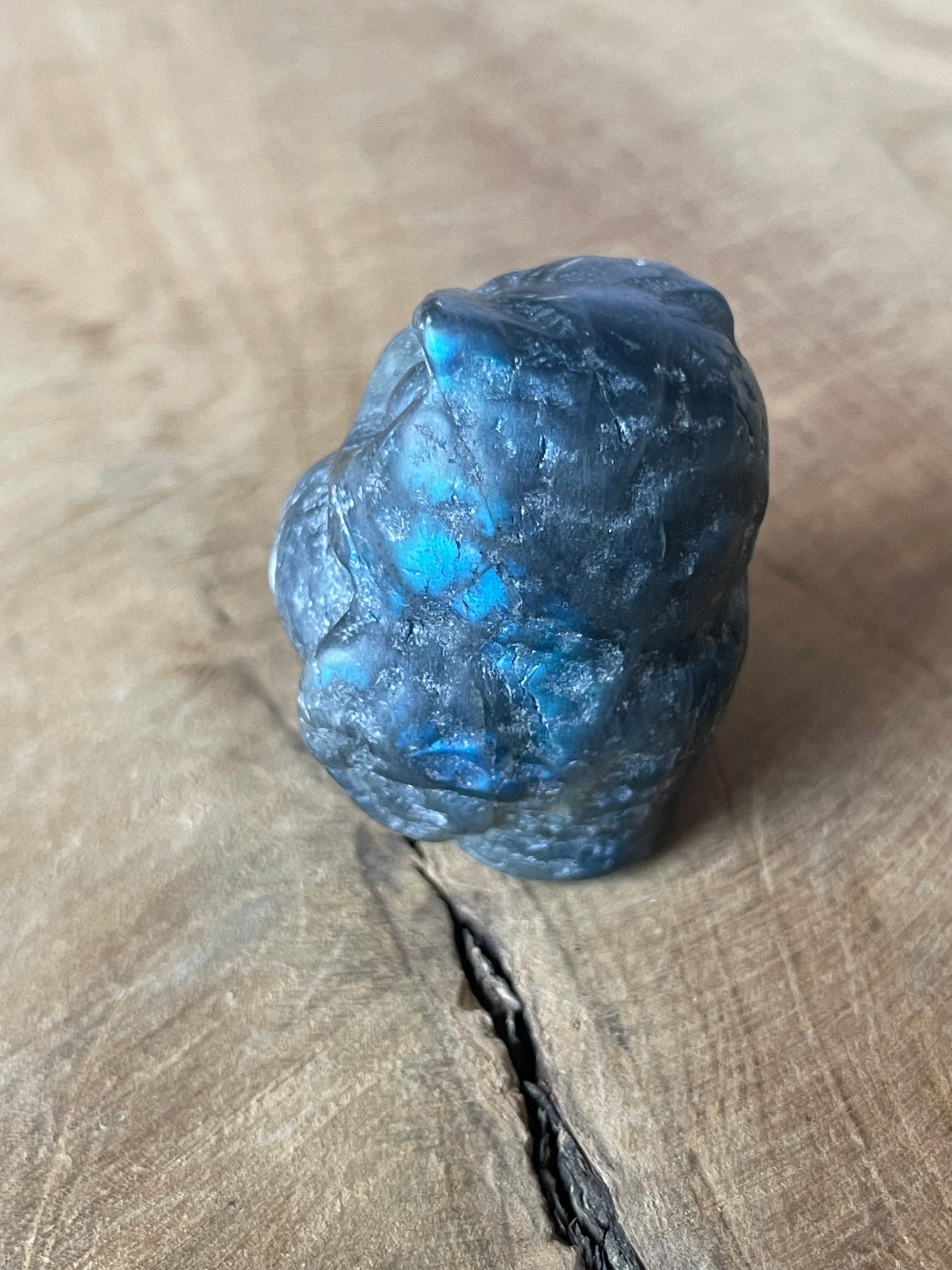 Hiboux labradorite