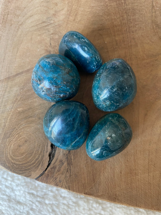 Apatite bleue roulées